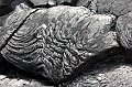13 Broken message Copyright Villayat Sunkmanitu